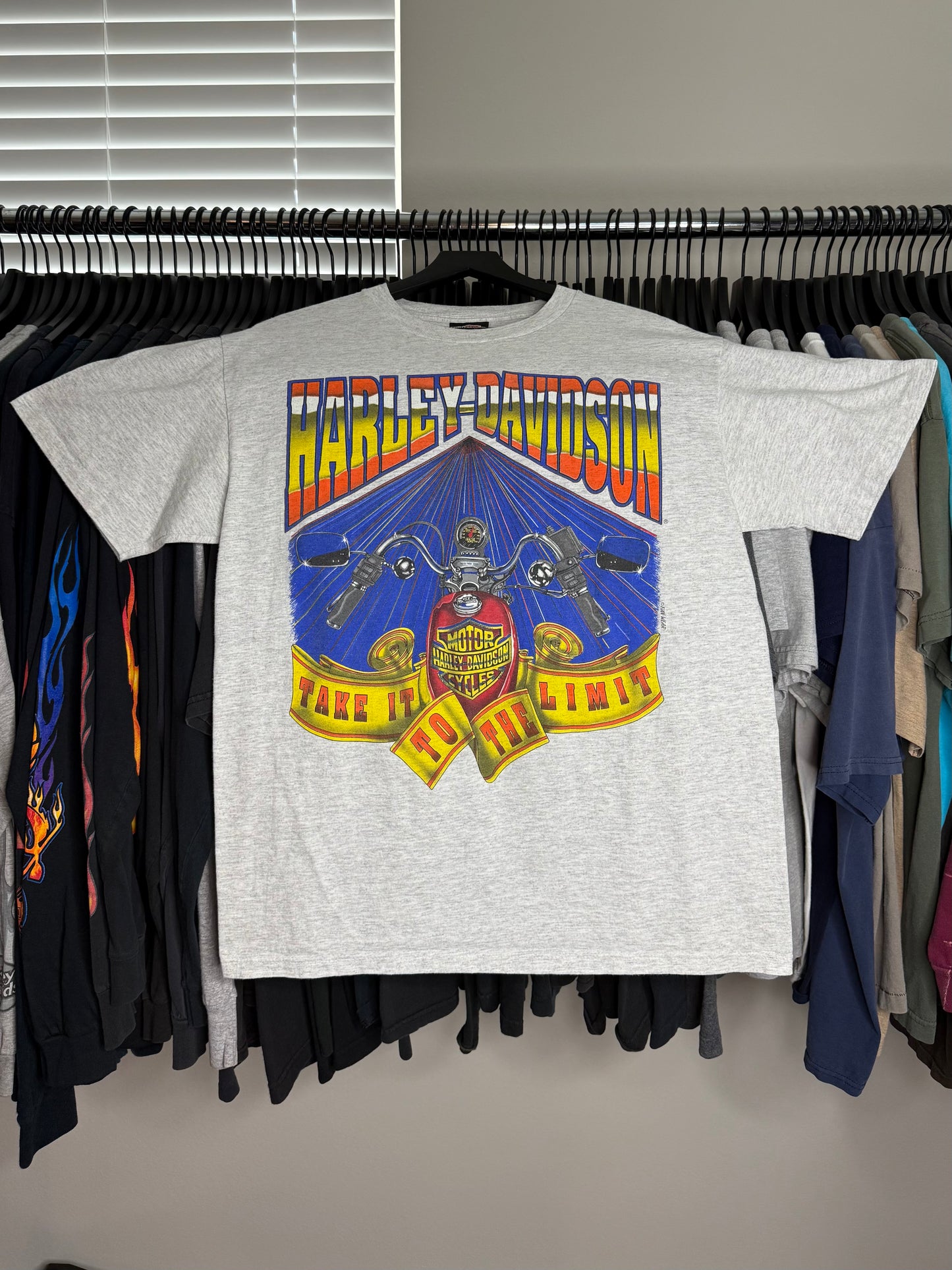 Harley Davidson 90’s Funwear Shirt - L
