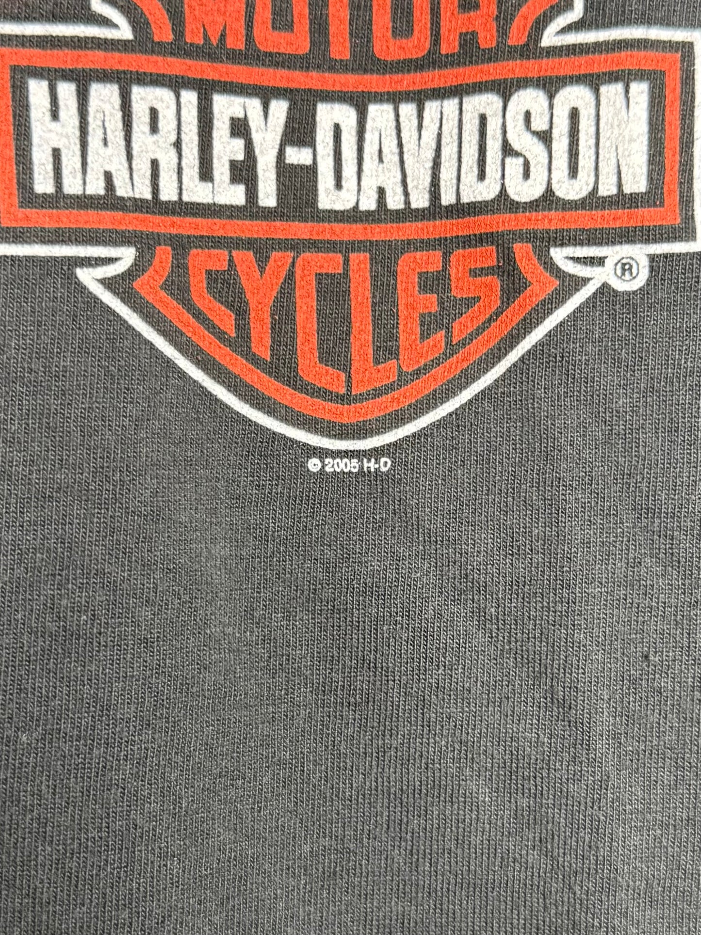 Harley Davidson Shirt - L