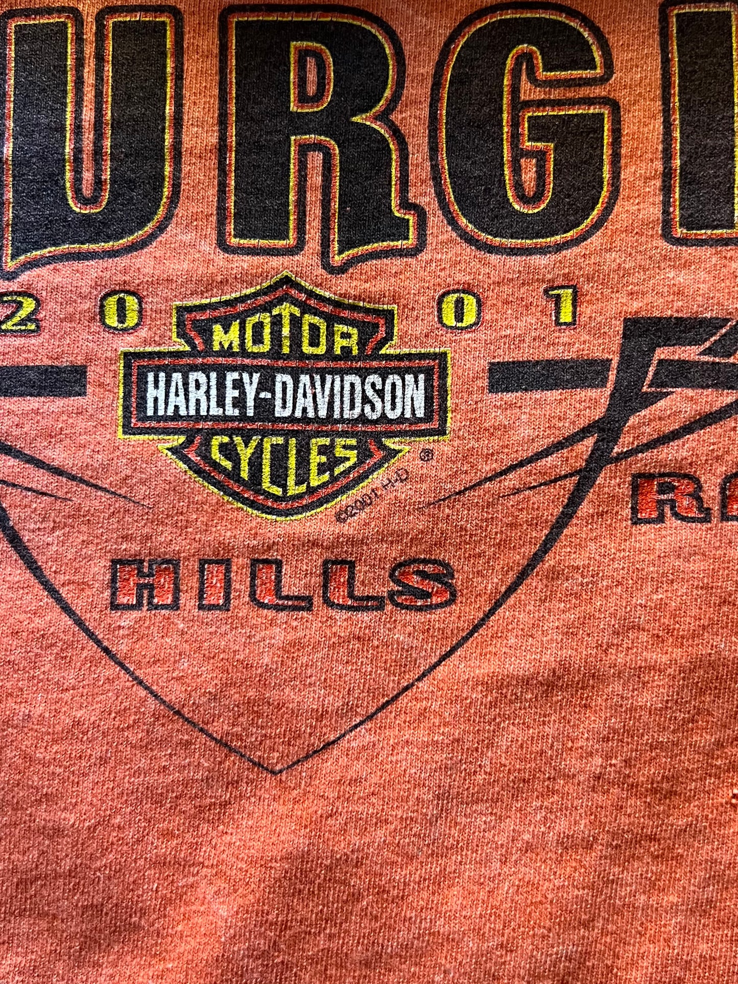 Harley Davidson Shirt - L