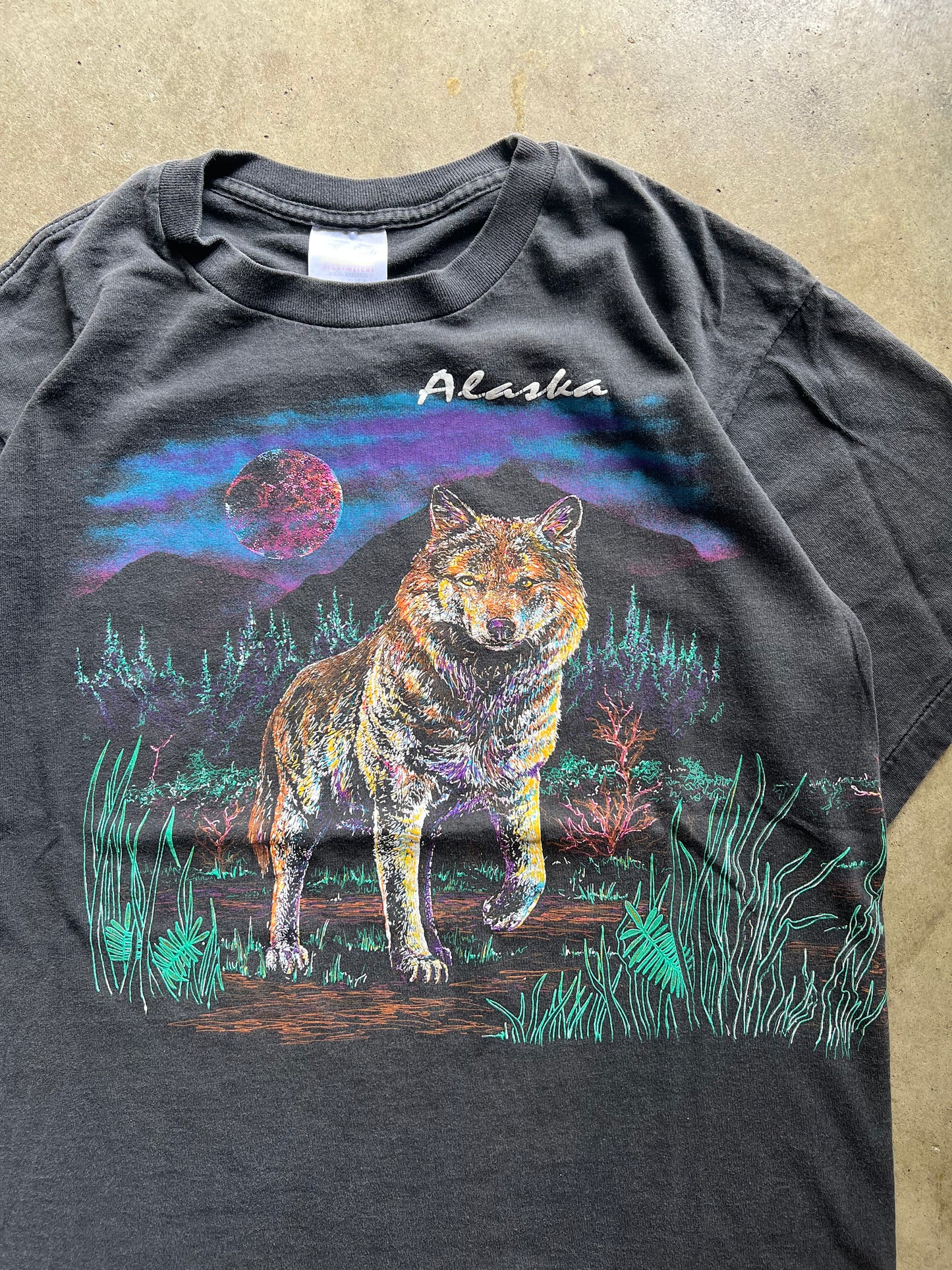 Wild Alaska Nature Tee - L