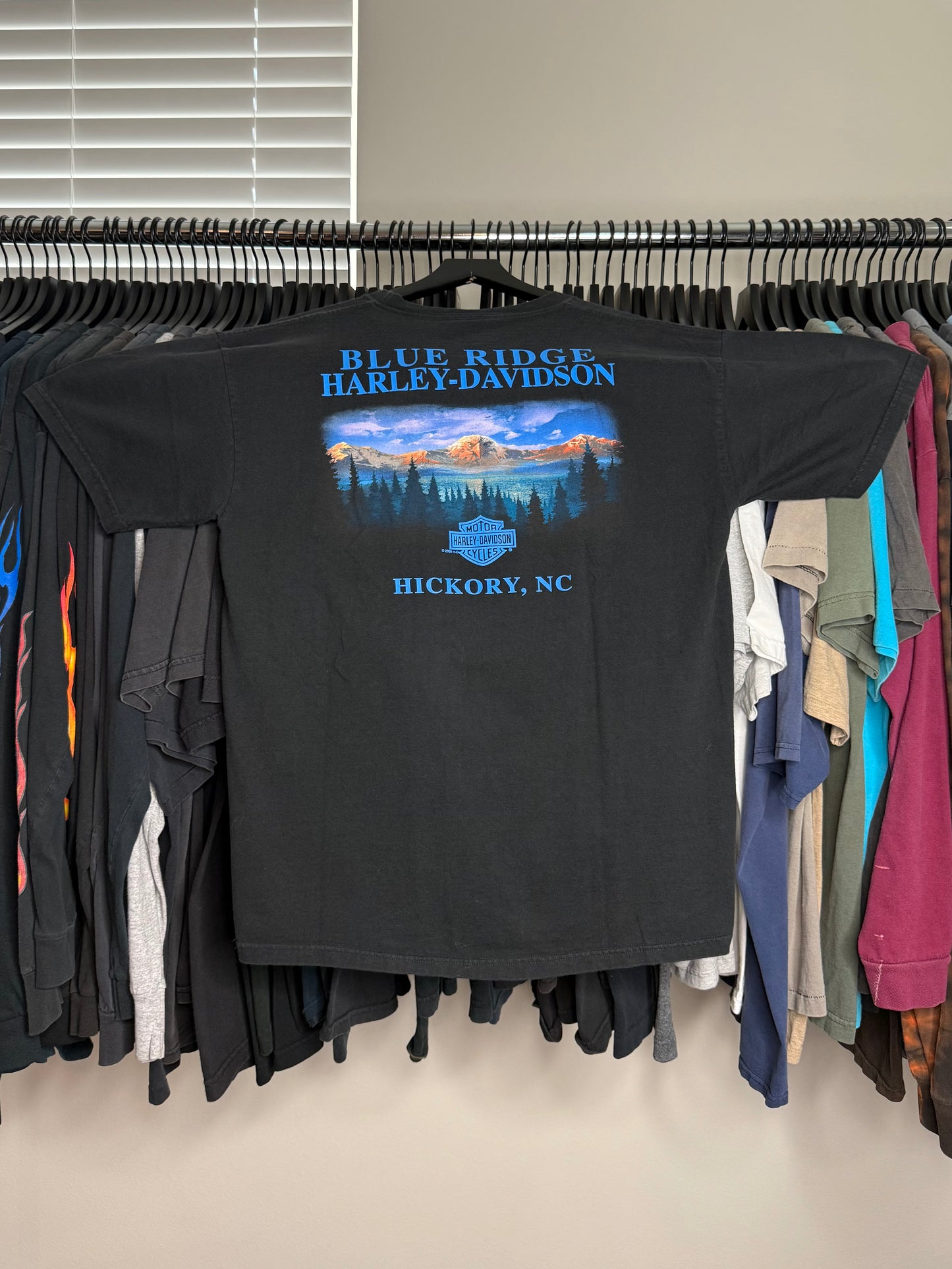 Harley Davidson Shirt - L