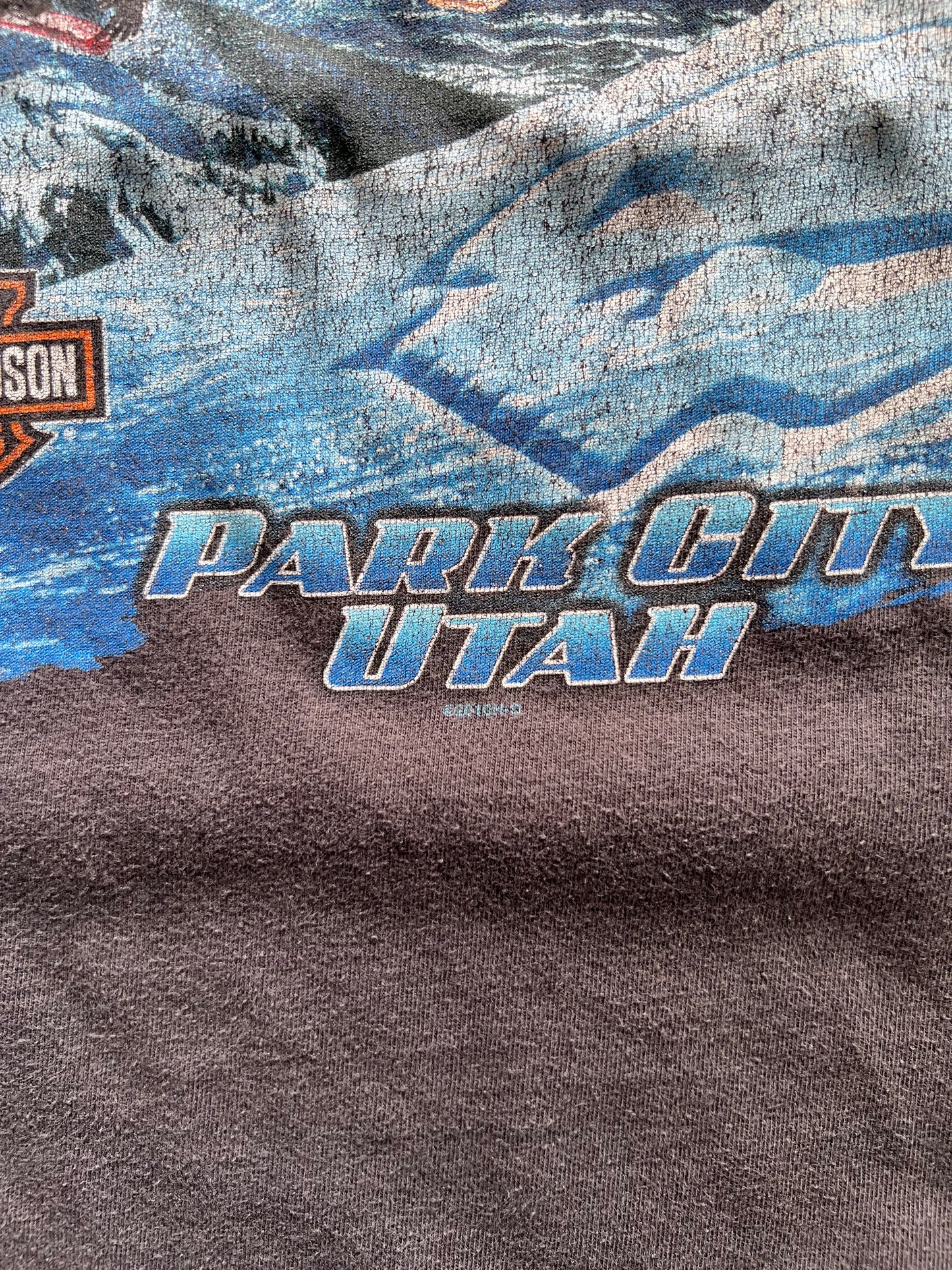 Harley Davidson Park City, Utah Long Sleeve Tee - XL