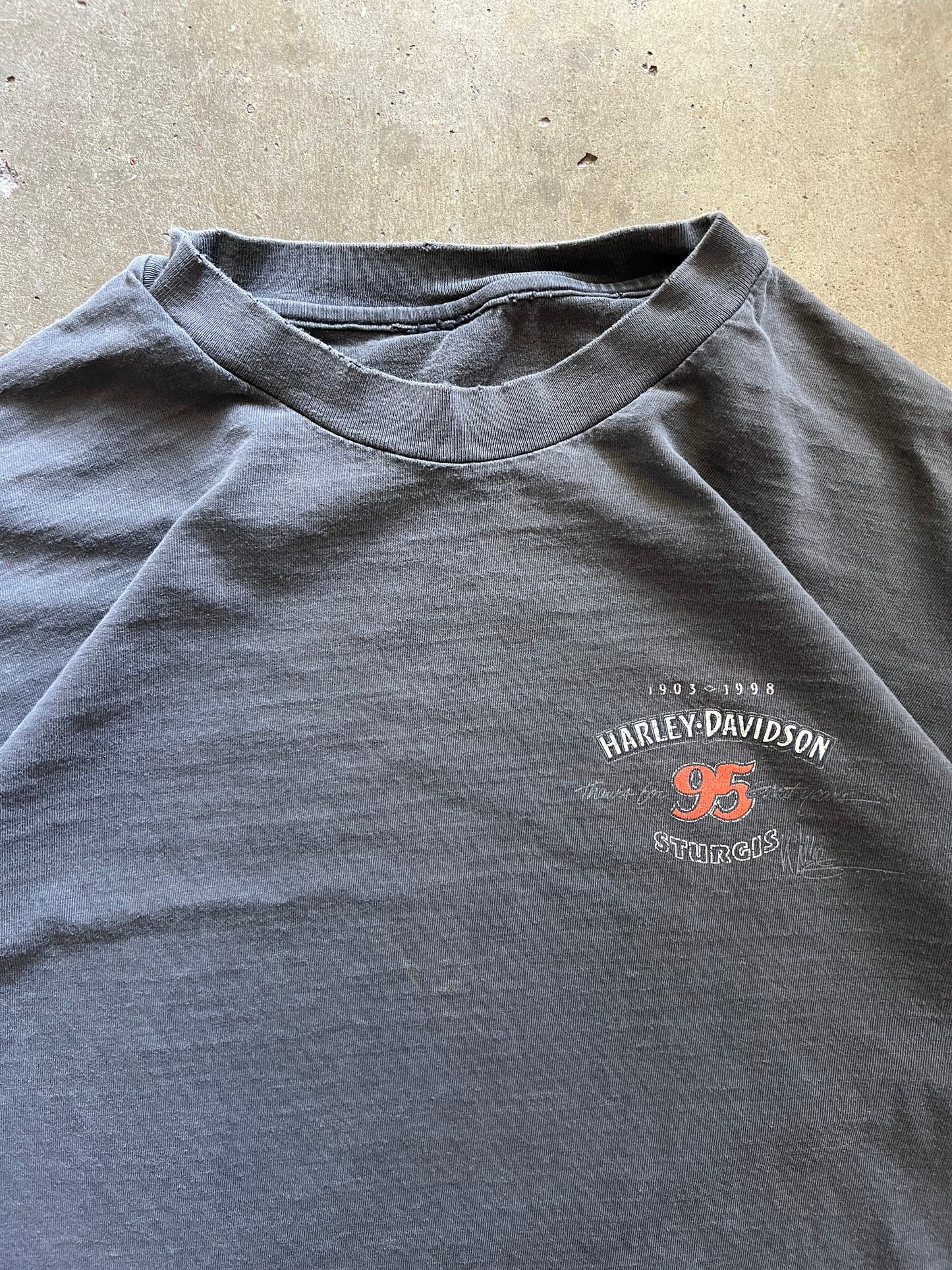 Harley Davidson 95 Sturgis Tee - L